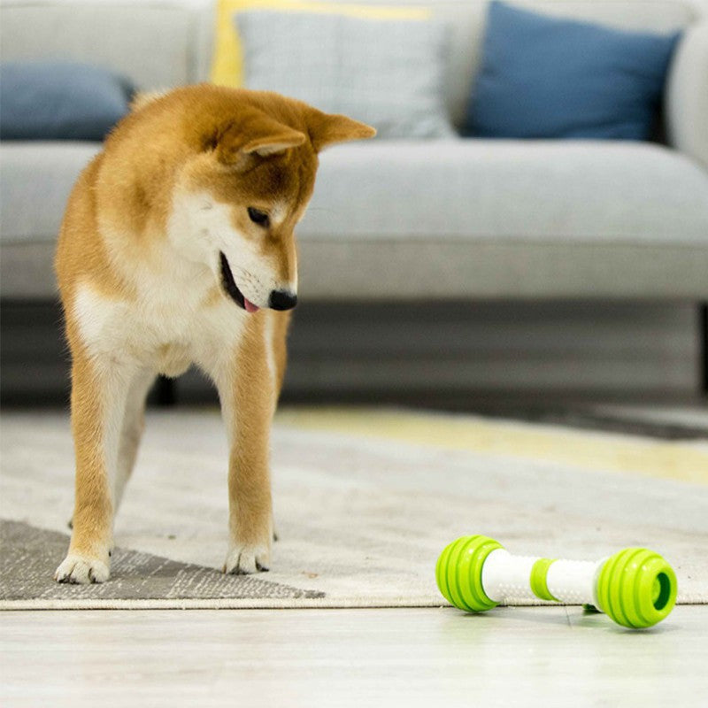 Electric automatic dog toy bone