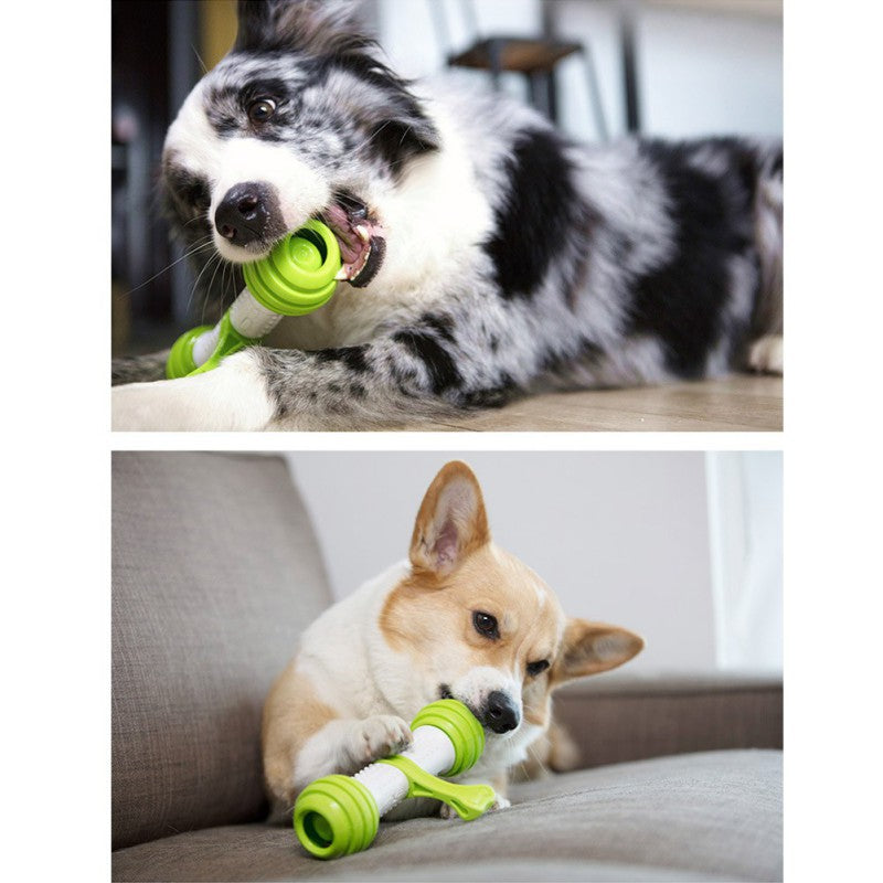 Electric automatic dog toy bone