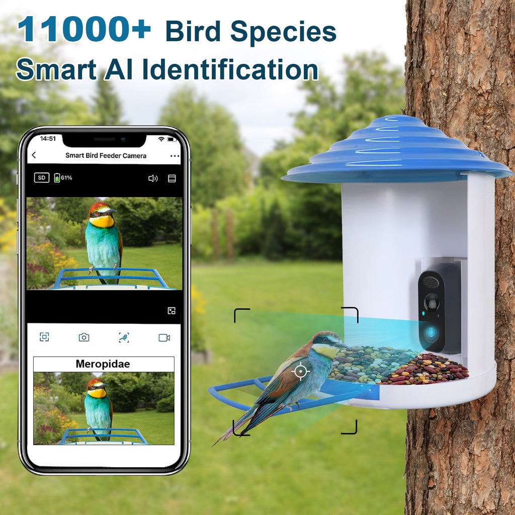 Smart Bird Feeder With Solar Powered Camera 1080P HD