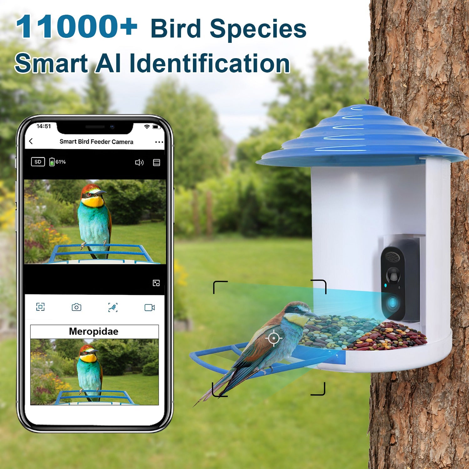 Smart Bird Feeder With Solar Powered Camera 1080P HD