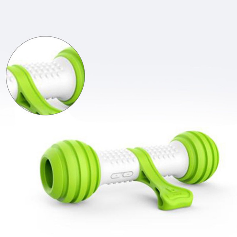 Electric automatic dog toy bone