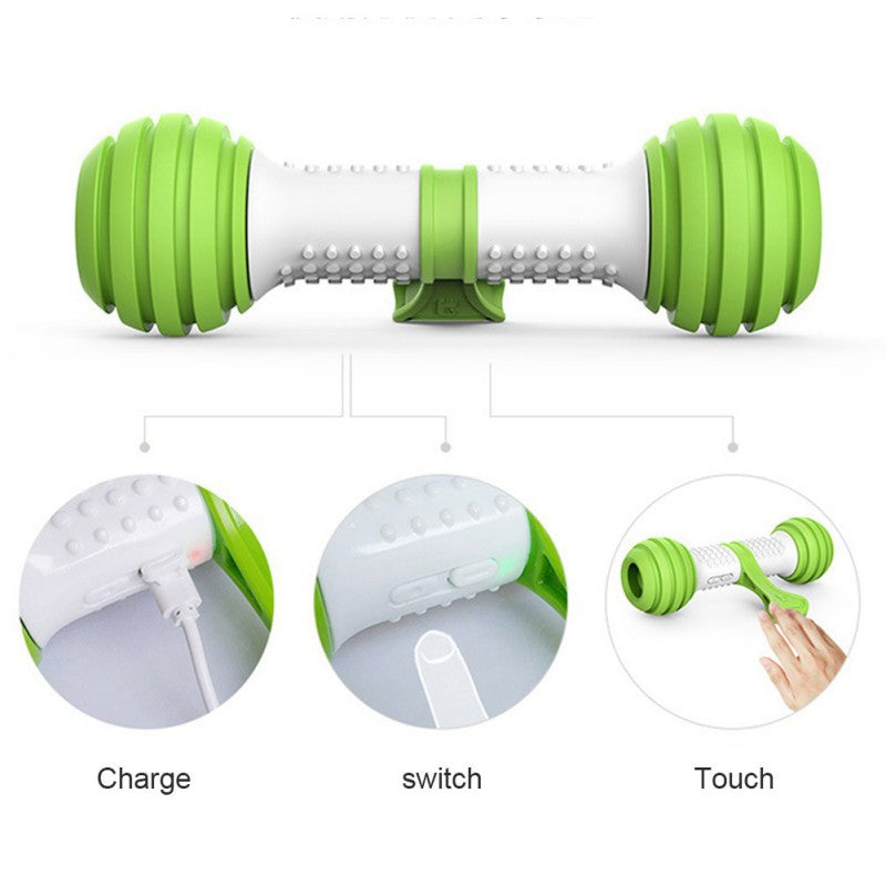 Electric automatic dog toy bone
