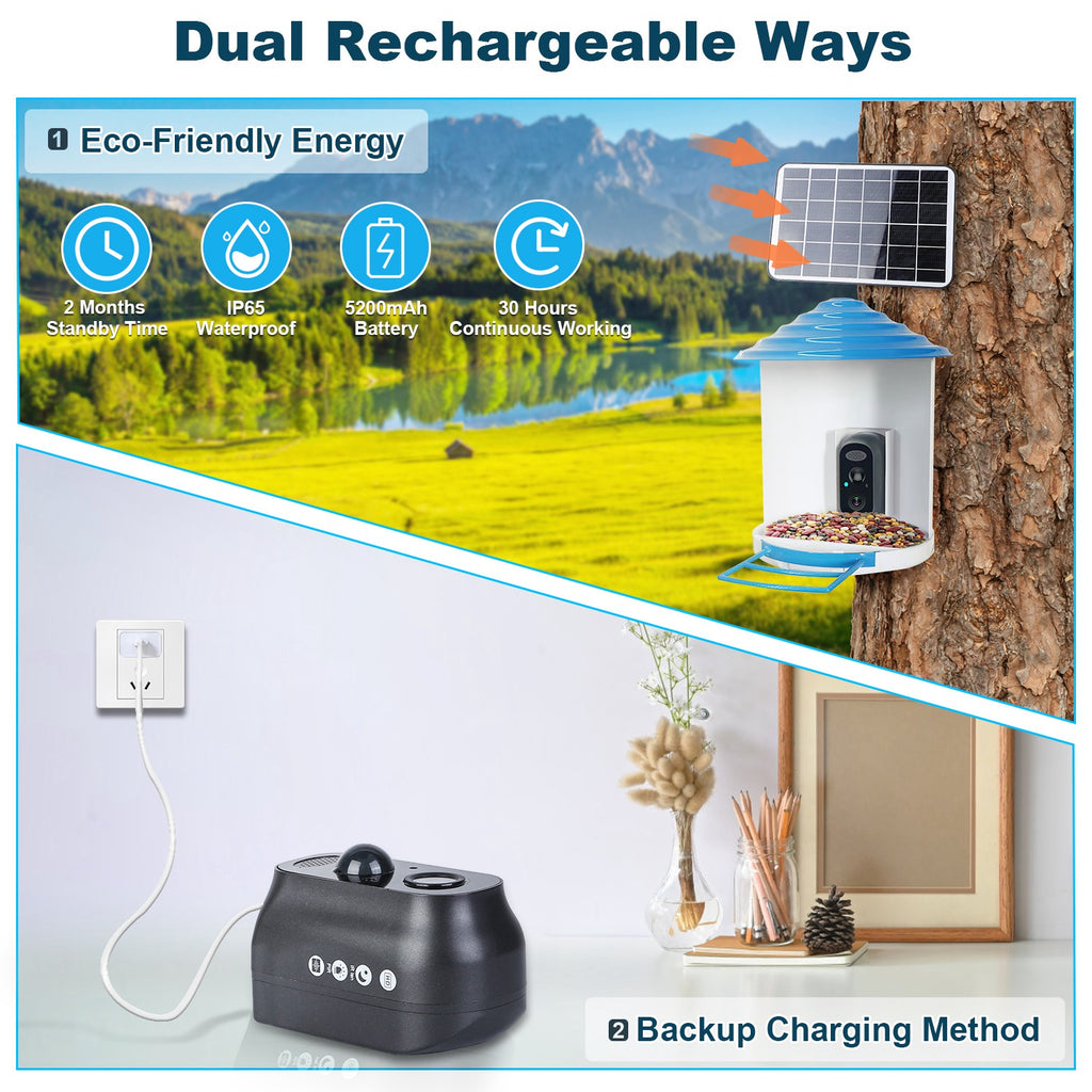 Smart Bird Feeder With Solar Powered Camera 1080P HD