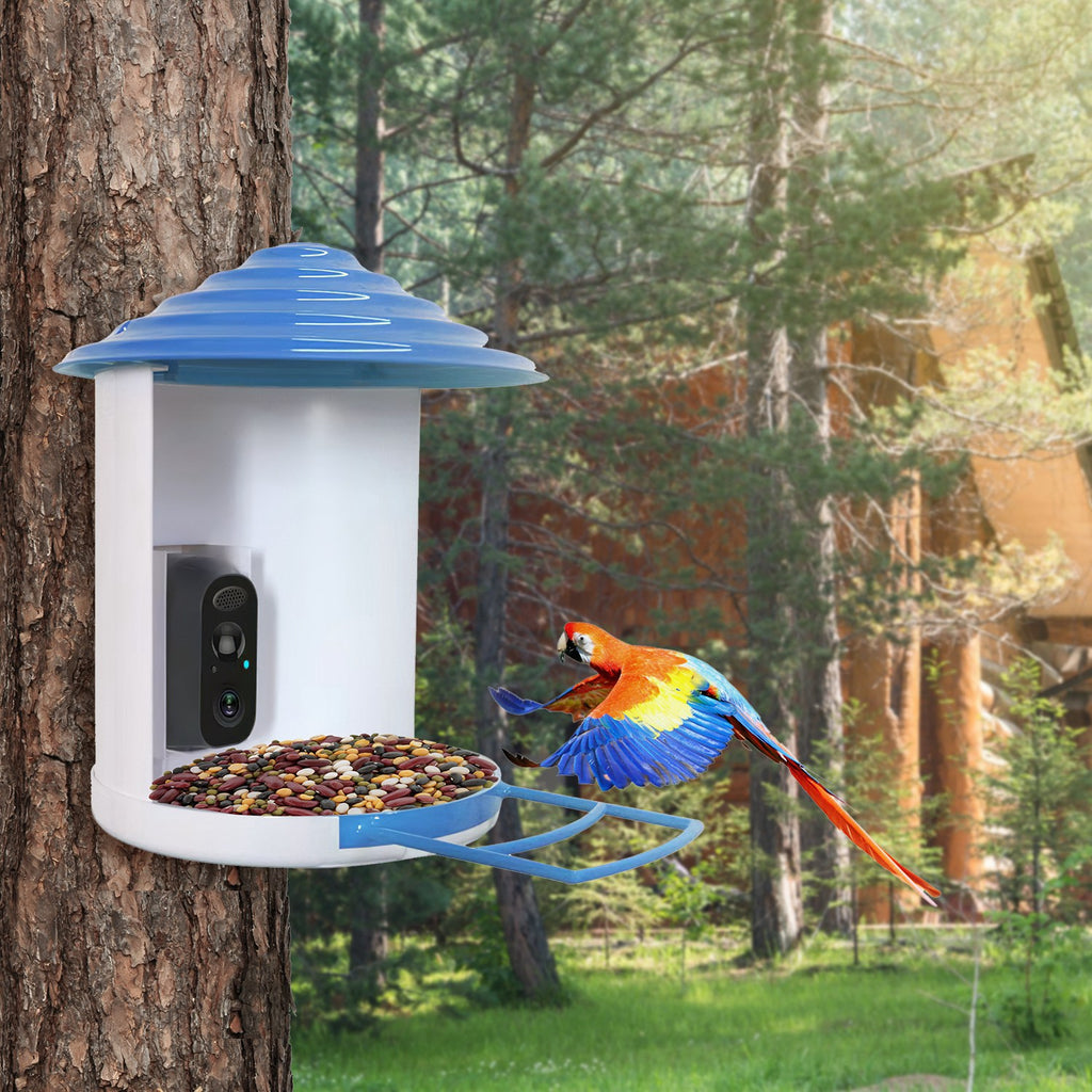 Smart Bird Feeder With Solar Powered Camera 1080P HD