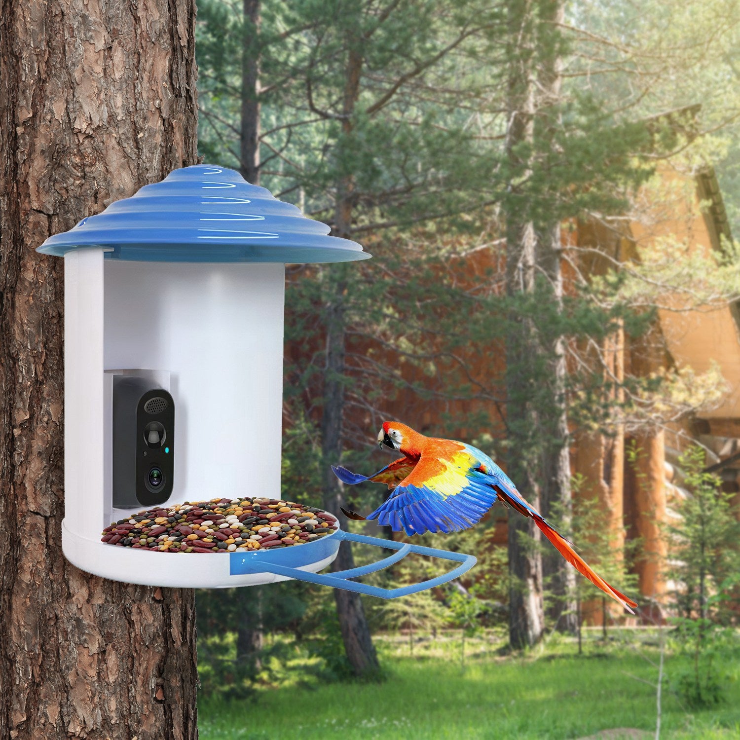Smart Bird Feeder With Solar Powered Camera 1080P HD
